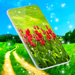 Green Spring Live Wallpaper