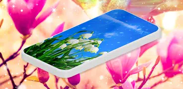 Spring Flower Live Wallpaper