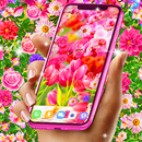 Spring live wallpapers APK