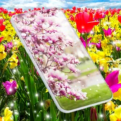 Baixar Spring Petals Live Wallpaper APK