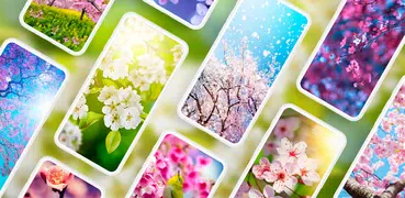 Frühling Hintergrundbilder 4K