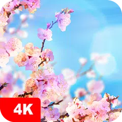 Baixar Papéis de parede primavera 4K APK