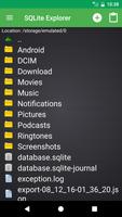 برنامه‌نما SQLite Explorer عکس از صفحه