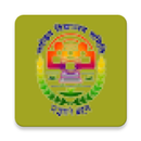 SRD NVS-BR APK