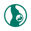 Pregnancy Calculator APK