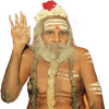 SrilaSri Vellaiyananda Swami icon