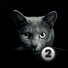 Find a cat 2 icono