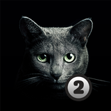Trouve le chat 2 icône