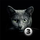 Найди кота 3 ícone