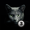 Find A Cat 3 APK