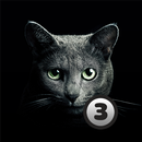 APK Найди кота 3