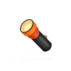 Torch 2019 ícone
