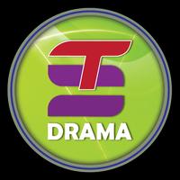 ST DRAMA 海报