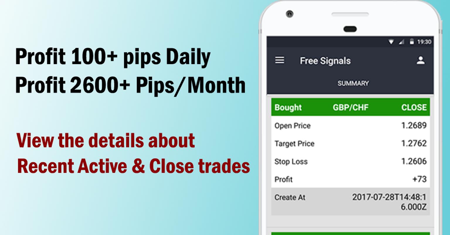Forex sl tp nedir