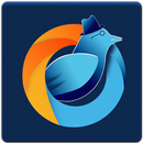 HiHola Browser APK