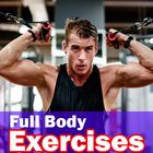 Full Body Workout icône