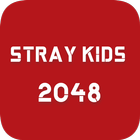 Stray Kids 2048 icône