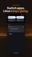 Andronix - Linux on Android XAPK download