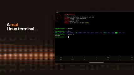 Andronix - Linux on Android XAPK download