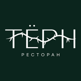 Тёрн आइकन
