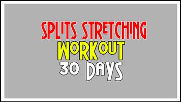 Split Stretching in 30 Days screenshot 2
