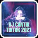 DJ Tiktok Full Bass Terbaru 2021 Offline APK