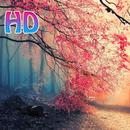 Best HD Wallpapers APK