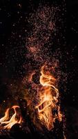 Best HD Wallpapers screenshot 3
