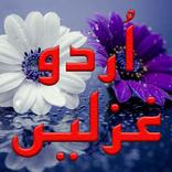 New Urdu Poetry Offline