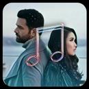 Lagu Apalah Cinta - Ayu Ting Ting offline APK
