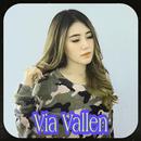 APK bagai langit Dan bumi - lagu via Vallen OFFLINE
