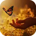 Life Quotes