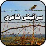 Saraiki Status: سرائیکی شاعری