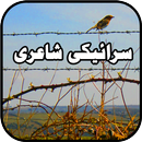 Saraiki Status: سرائیکی شاعری APK