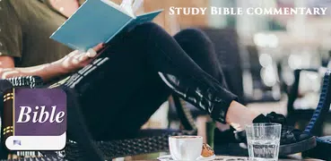 Study Bible commentary offline