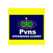 PVNS PHYSICS
