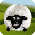 Stupid Sheep