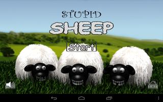 Stupid Sheep ポスター