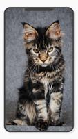 Pets Wallpaper-7 截图 2