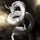 Dragon Wallpapers icône