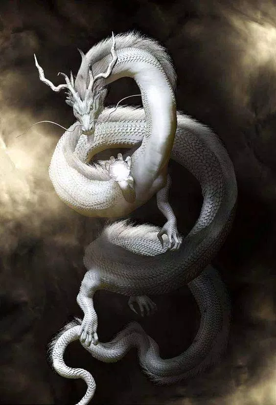 Tải xuống APK Dragon Wallpapers cho Android Tải xuống APK Dragon Wallpapers cho Android