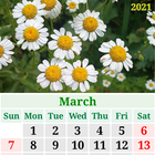 Calendar Creator-7 أيقونة