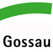 Stadt Gossau SG