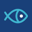 BIG FISH доставка еды APK