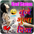 Sad Status : Shayari and Quotes