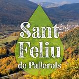 Sant Feliu de Pallerols आइकन