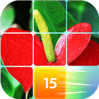 Flowers Slide Puzzle icono