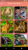 Animals - Slide Puzzle Poster