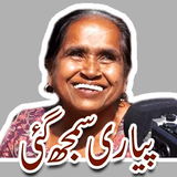 Funny Urdu Stickers app