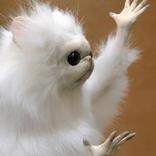 ”Stickers for whatsapp